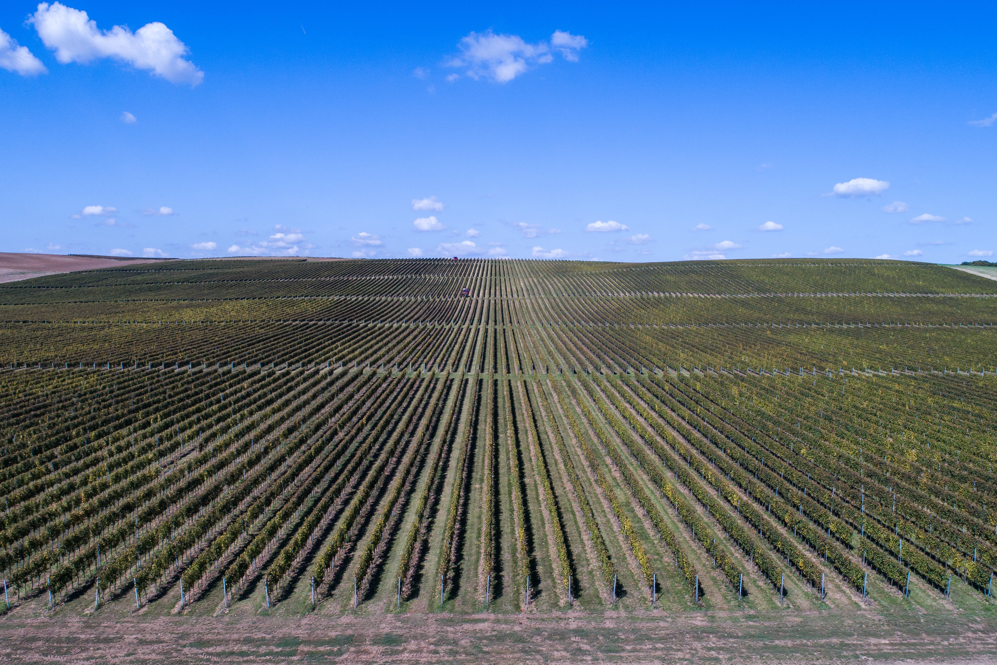 Ljeto u Slavoniji i Baranji