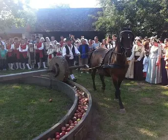 Ižimača u Beravcima